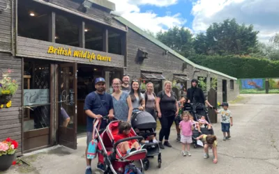 British Wildlife Visit