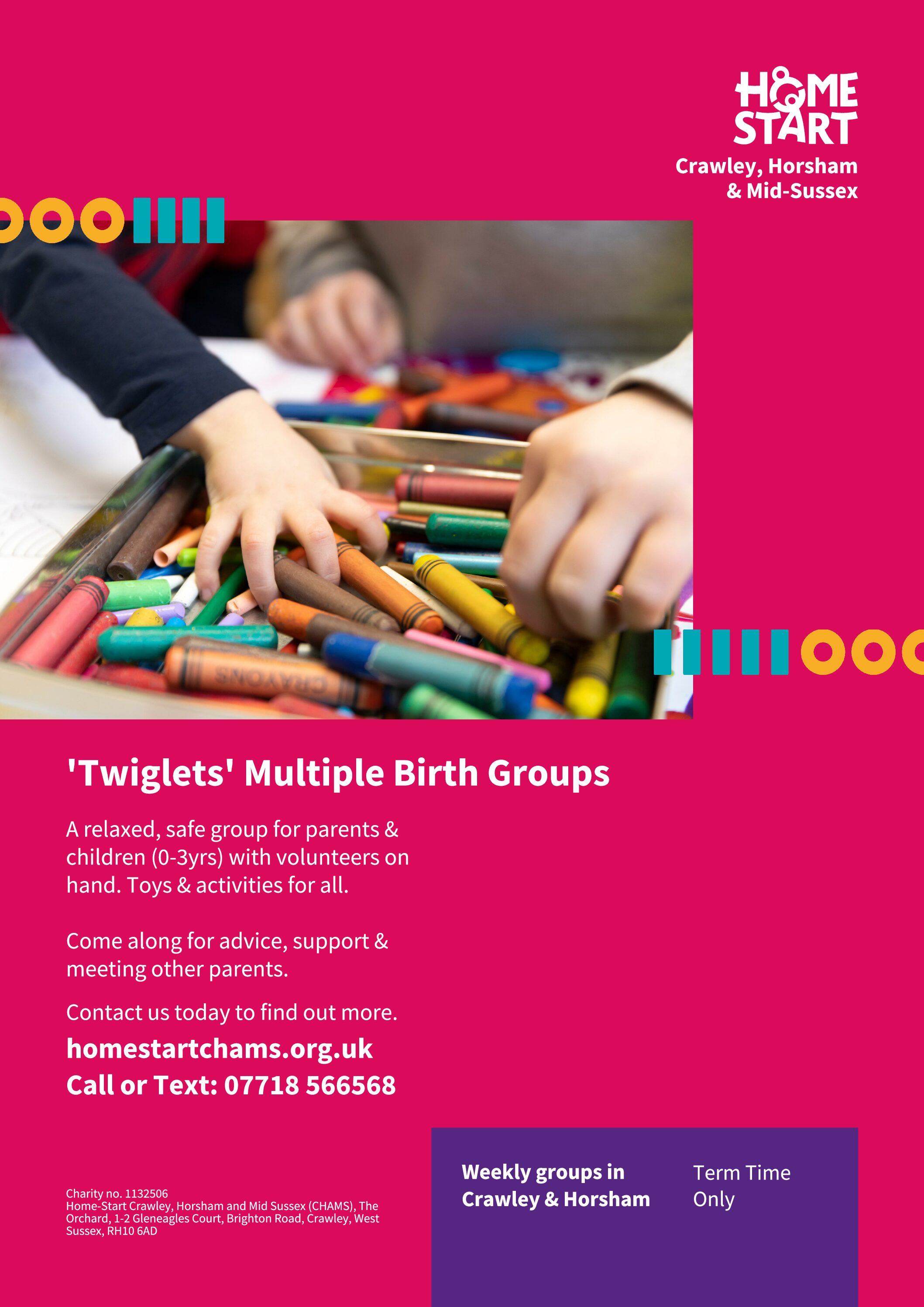 Twiglets Multiple Birth Groups